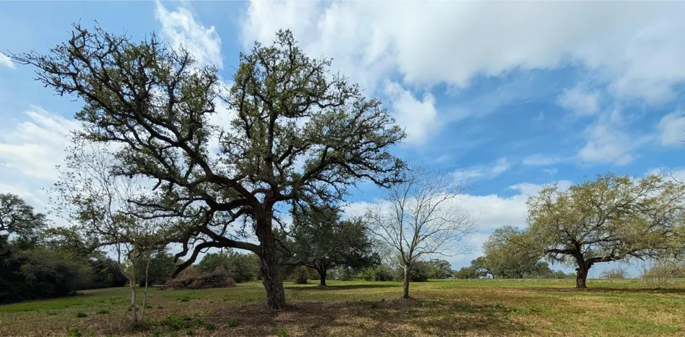 9487 Bauer Road Fayetteville, TX 78940