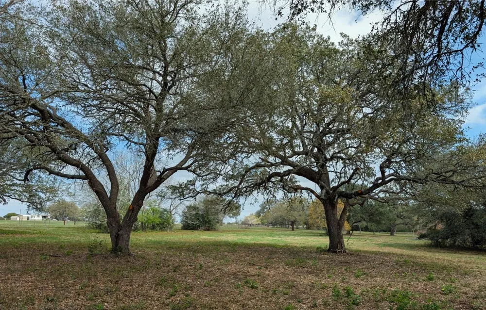 9487 Bauer Road Fayetteville, TX 78940