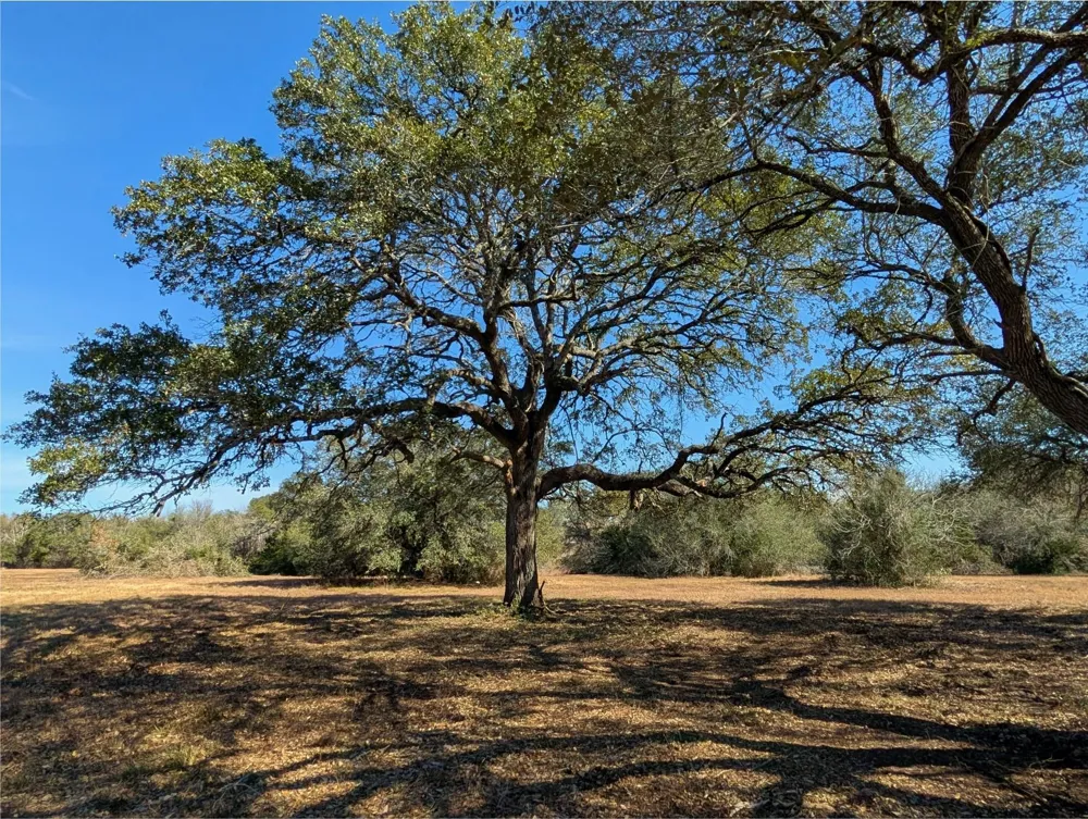 9487 Bauer Road Fayetteville, TX 78940