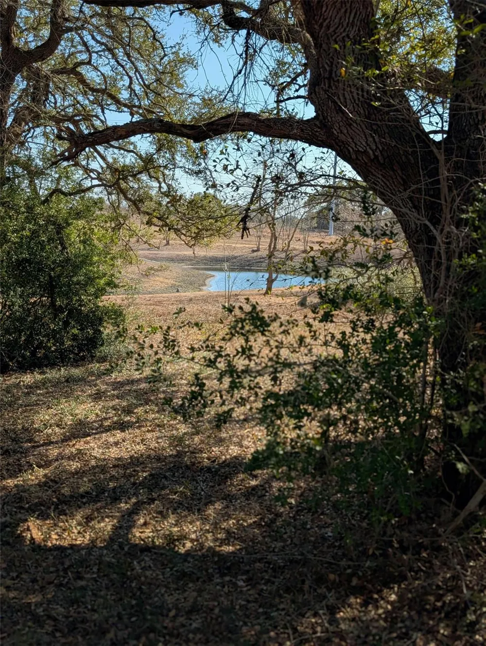9487 Bauer Road Fayetteville, TX 78940