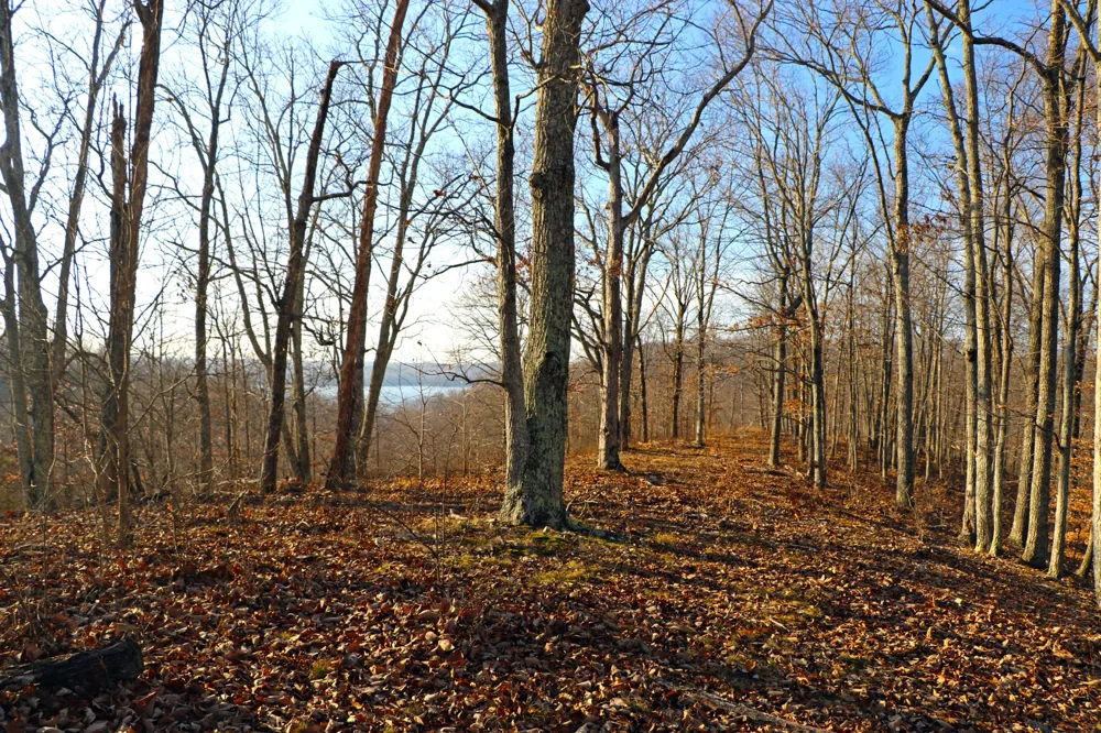 0 Ridge Top Rd Stewart, TN 37175