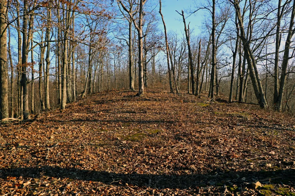 0 Ridge Top Rd Stewart, TN 37175