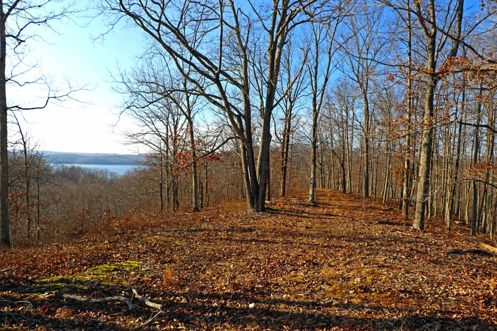 0 Ridge Top Rd Stewart, TN 37175