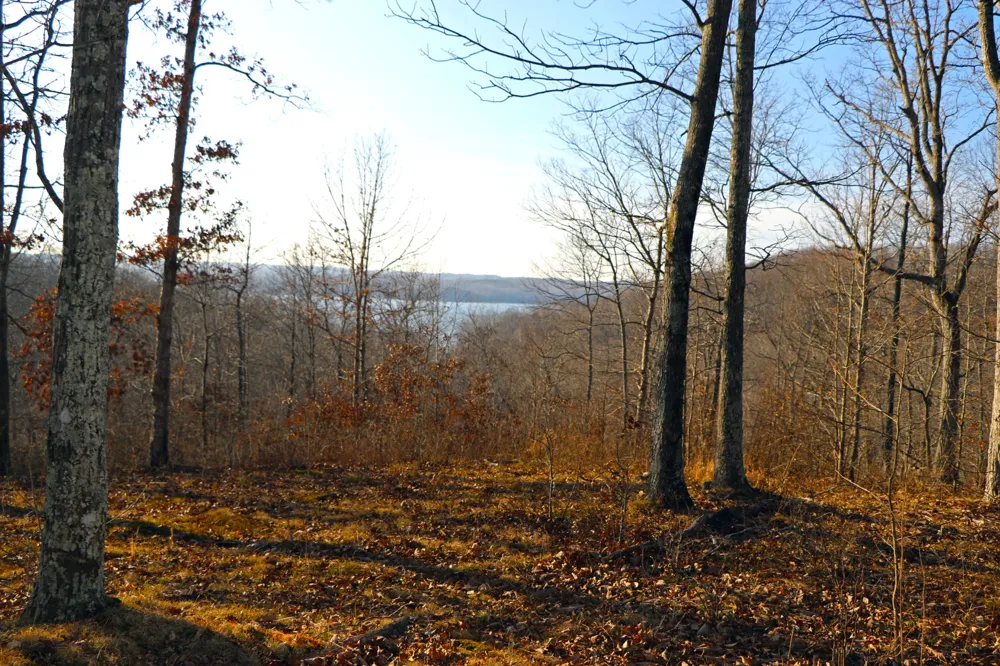 0 Ridge Top Rd Stewart, TN 37175