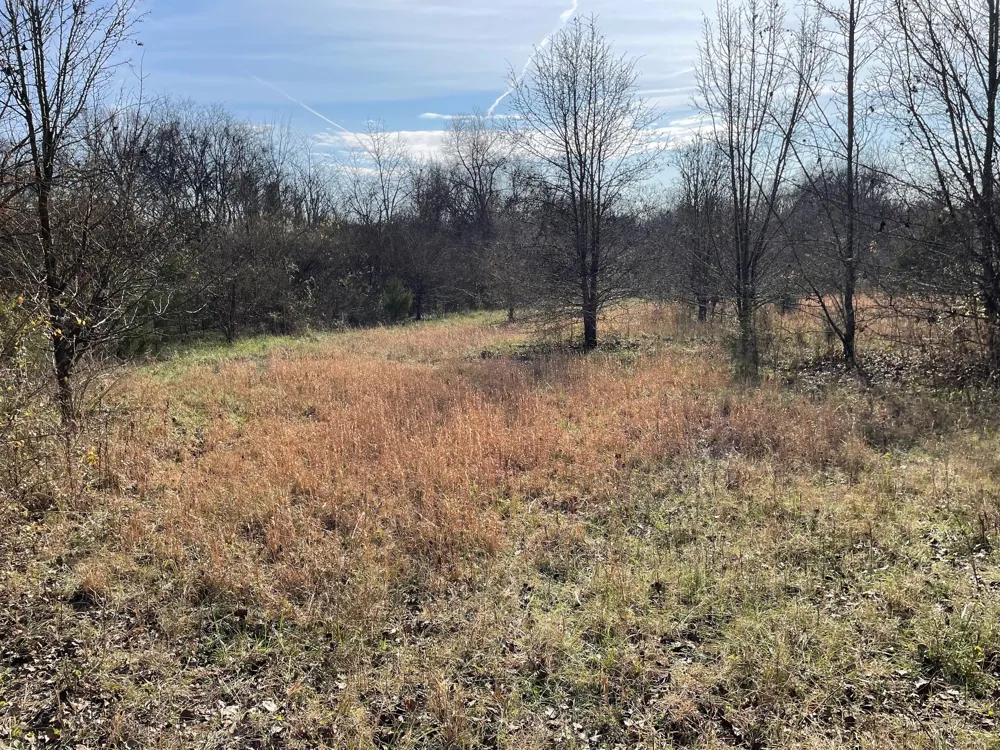 0 Blythe Ave Gallatin, TN 37066