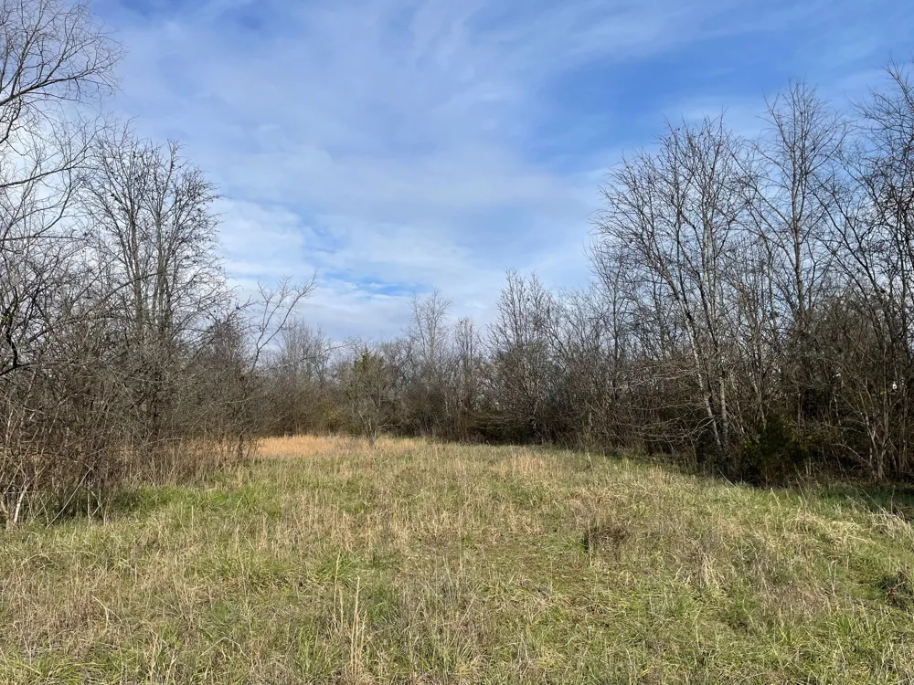 0 Blythe Ave Gallatin, TN 37066