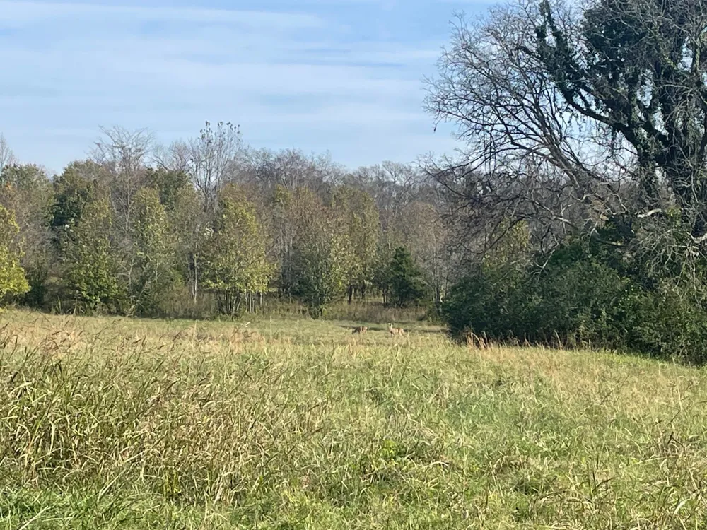 0 Blythe Ave Gallatin, TN 37066
