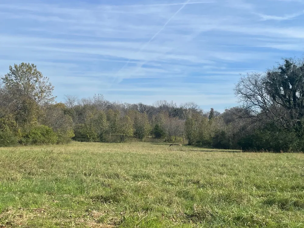 0 Blythe Ave Gallatin, TN 37066