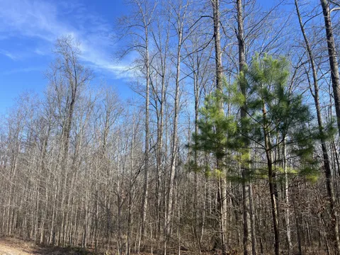 240 War Eagle Dr Lot 121