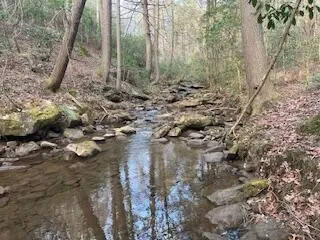 214 Gray Creek Road