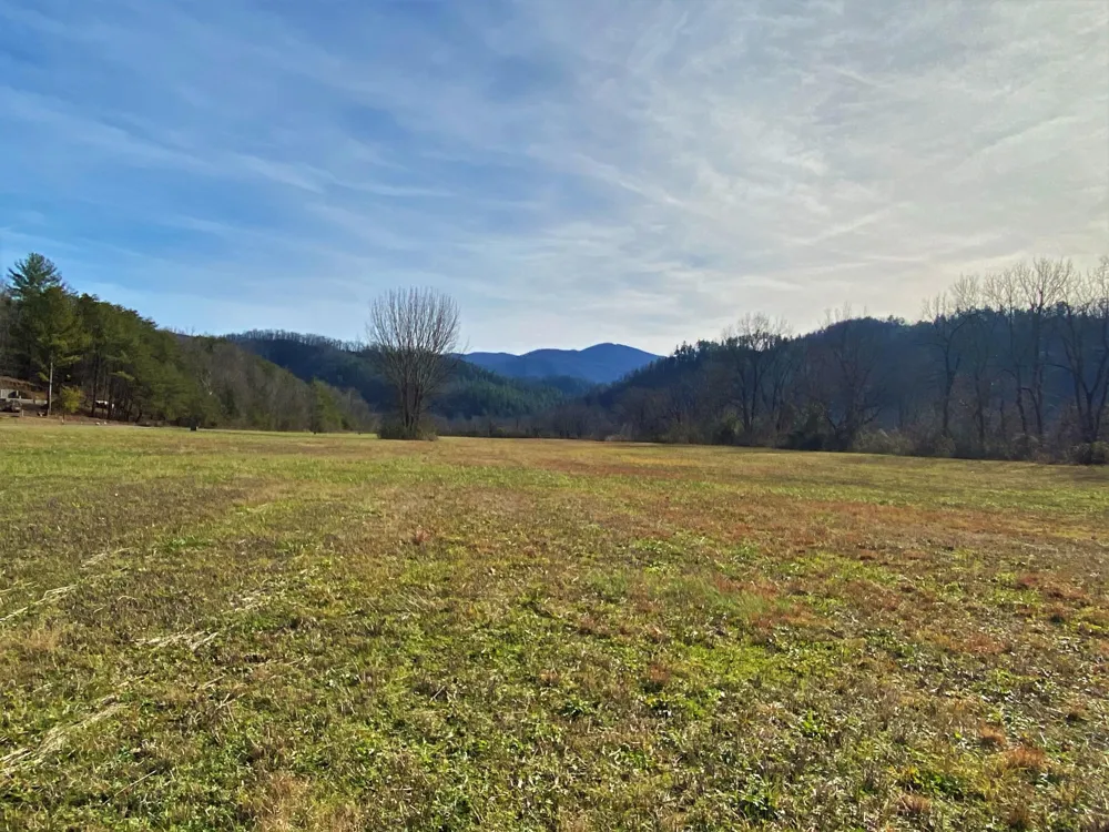 0 River Rapids Way Del Rio, TN 37727