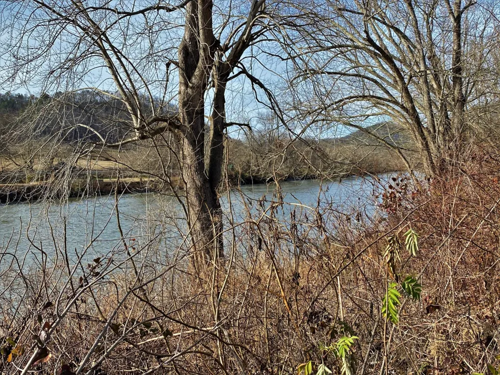 0 River Rapids Way Del Rio, TN 37727