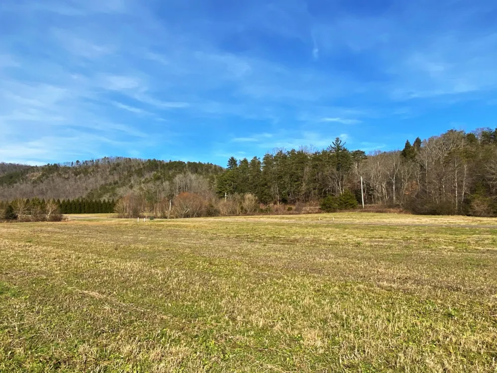 0 River Rapids Way Del Rio, TN 37727