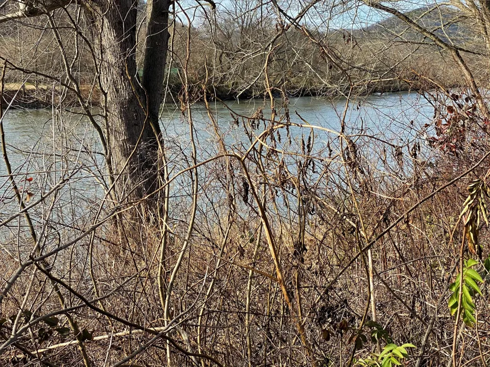 0 River Rapids Way Del Rio, TN 37727