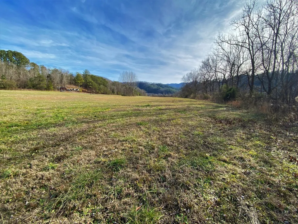 0 River Rapids Way Del Rio, TN 37727