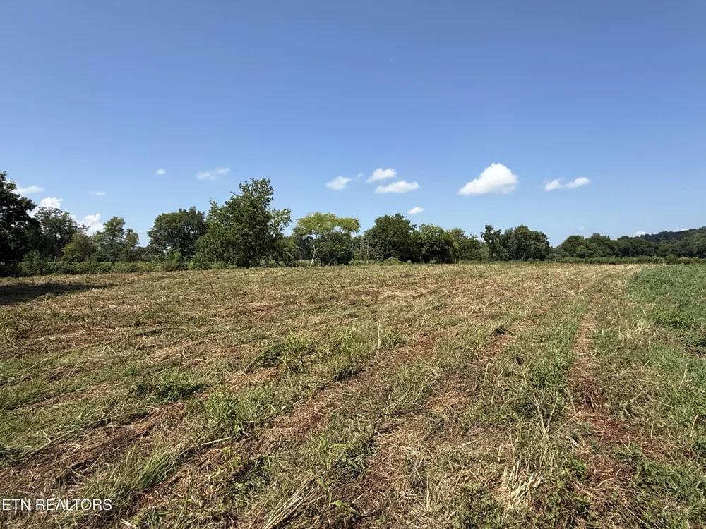 565 Highway 160 Newport, TN 37821