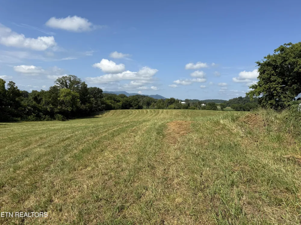 565 Highway 160 Newport, TN 37821