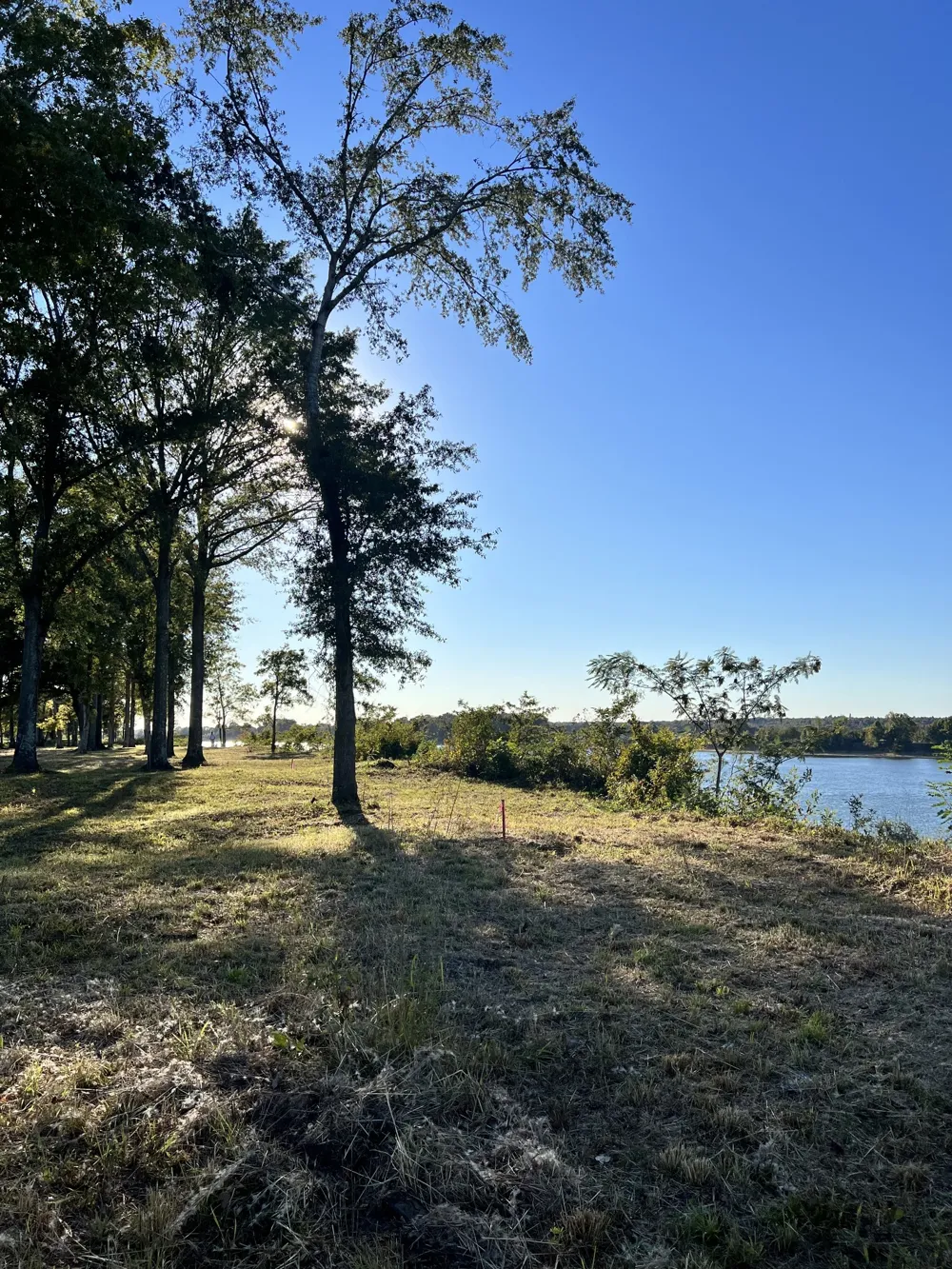 5335 Cravens Rd Savannah, TN 38372