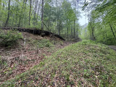 376 Summer House Hollow Rd
