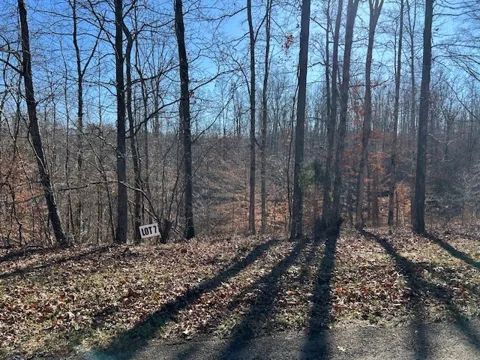 7 Slaughter Rd