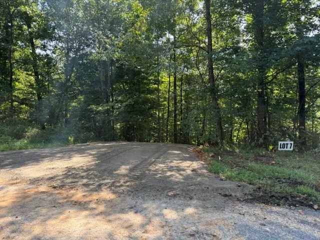 7 Slaughter Rd Primm Springs, TN 38476