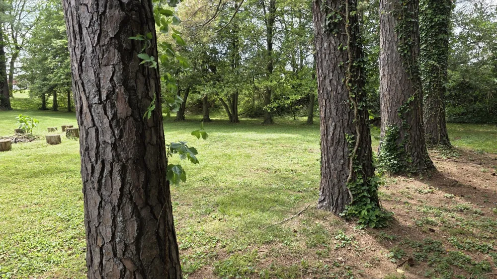 0 Lion Parkway Columbia, TN 38401