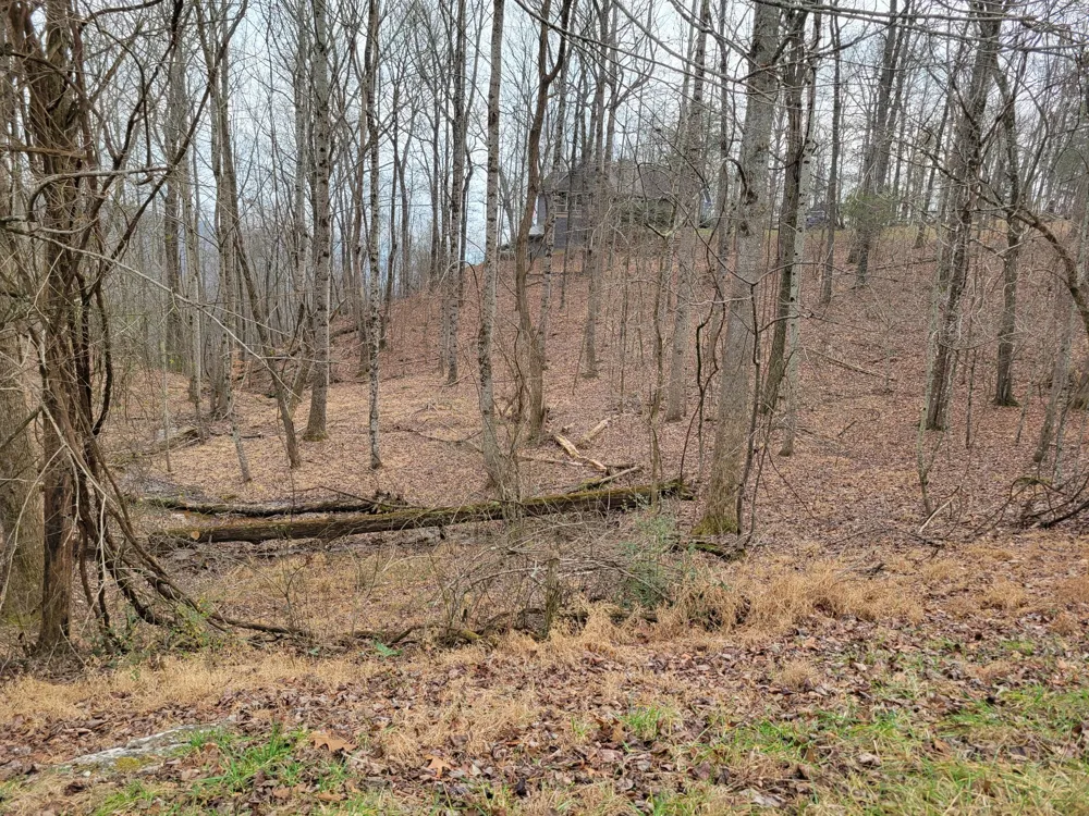 23 Laurel Lake Drive Monteagle, TN 37356