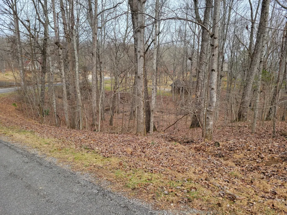 23 Laurel Lake Drive Monteagle, TN 37356