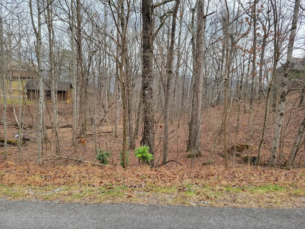 23 Laurel Lake Drive Monteagle, TN 37356