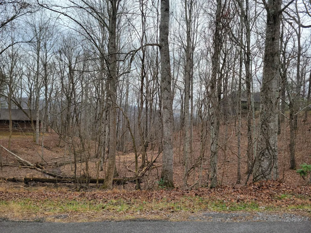 23 Laurel Lake Drive Monteagle, TN 37356