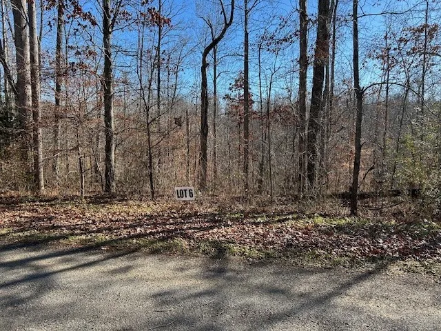 6 Slaughter Rd Primm Springs, TN 38476
