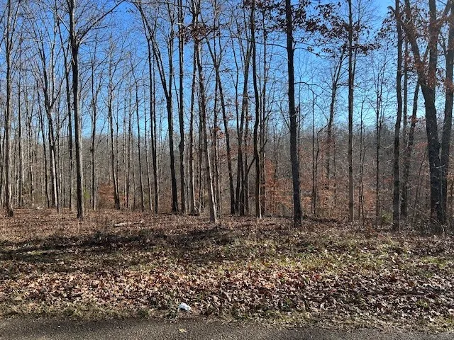 6 Slaughter Rd Primm Springs, TN 38476