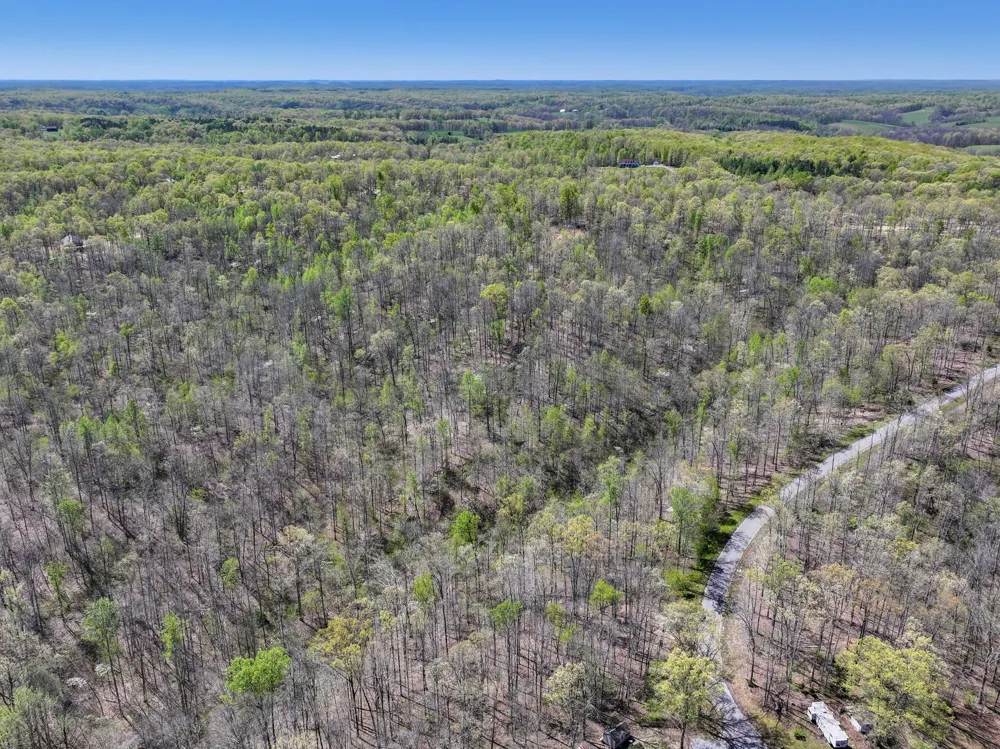 6 Slaughter Rd Primm Springs, TN 38476