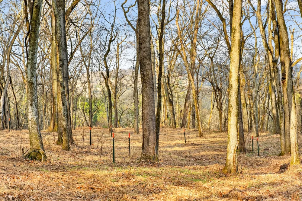 2955 Bostic Rd Nolensville, TN 37135