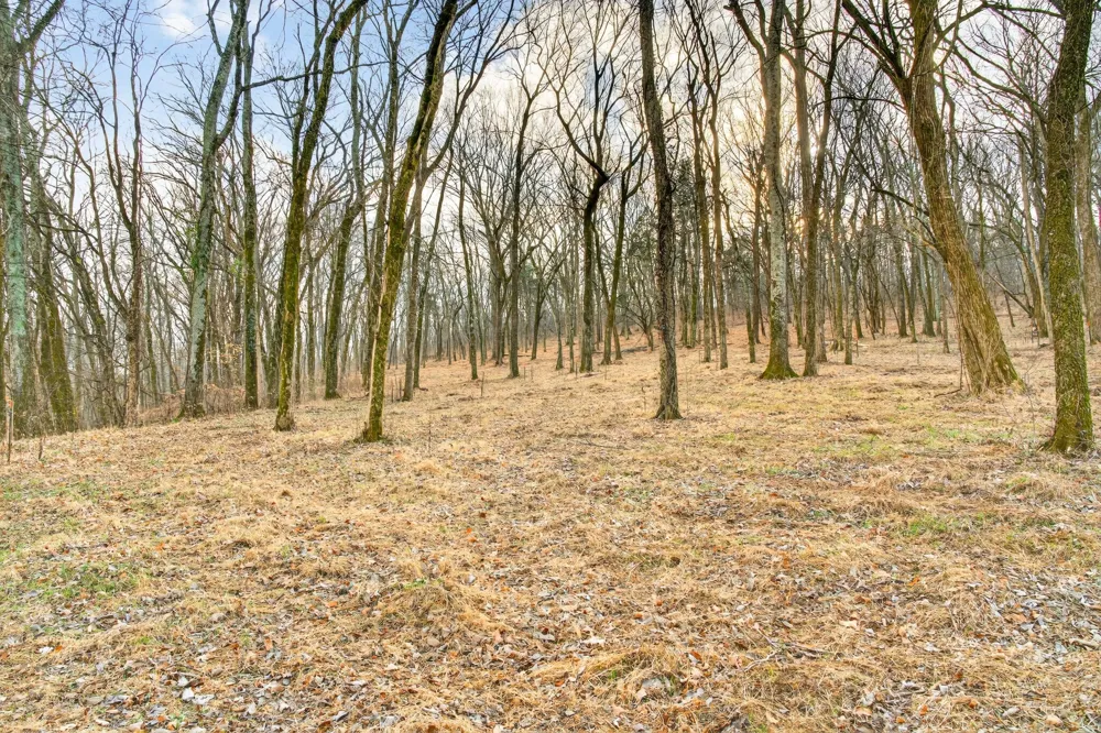 2955 Bostic Rd Nolensville, TN 37135