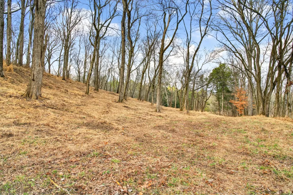 2955 Bostic Rd Nolensville, TN 37135