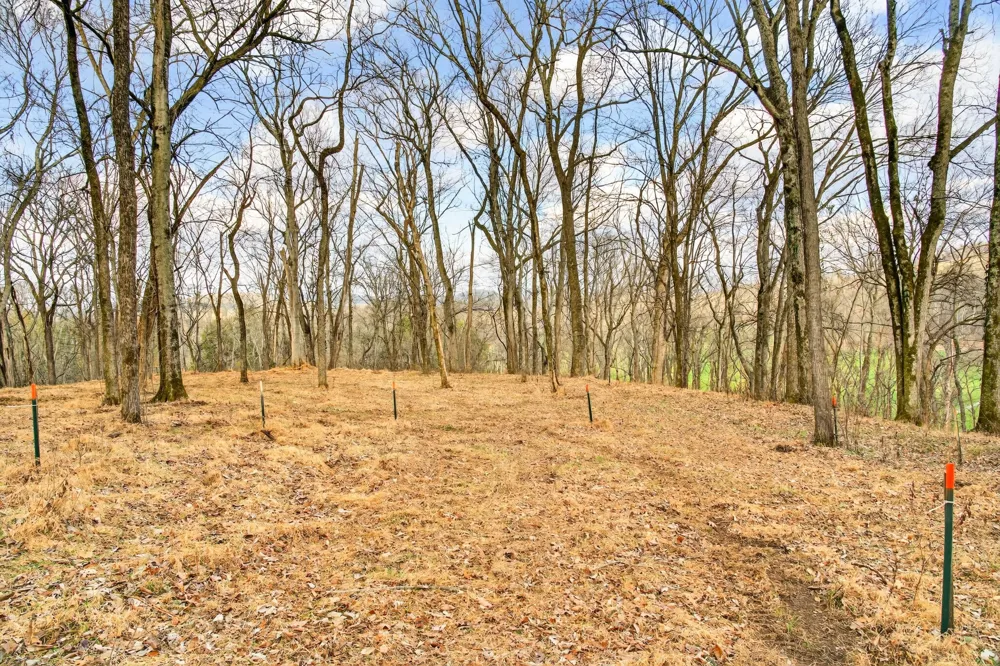 2955 Bostic Rd Nolensville, TN 37135