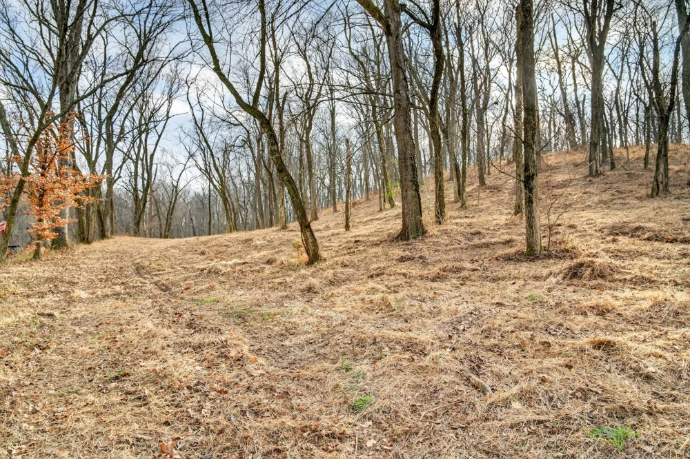 2955 Bostic Rd Nolensville, TN 37135