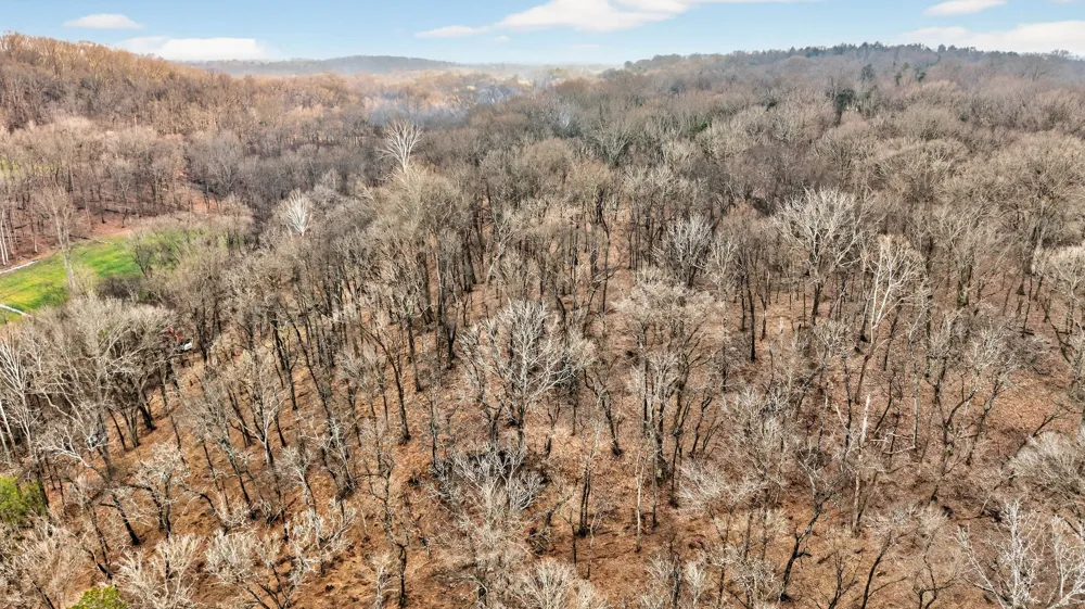 2955 Bostic Rd Nolensville, TN 37135