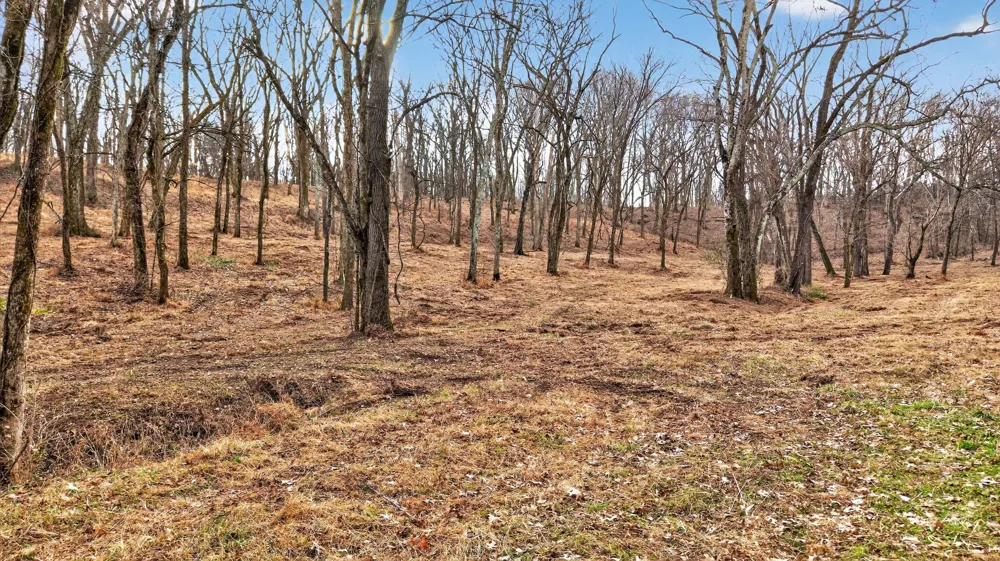2955 Bostic Rd Nolensville, TN 37135