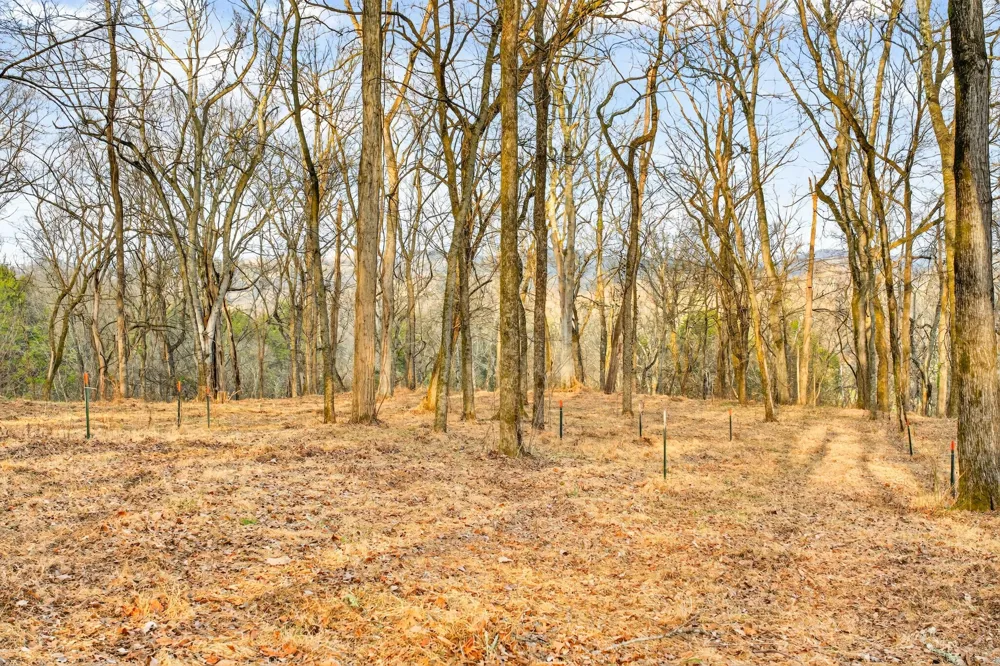 2955 Bostic Rd Nolensville, TN 37135