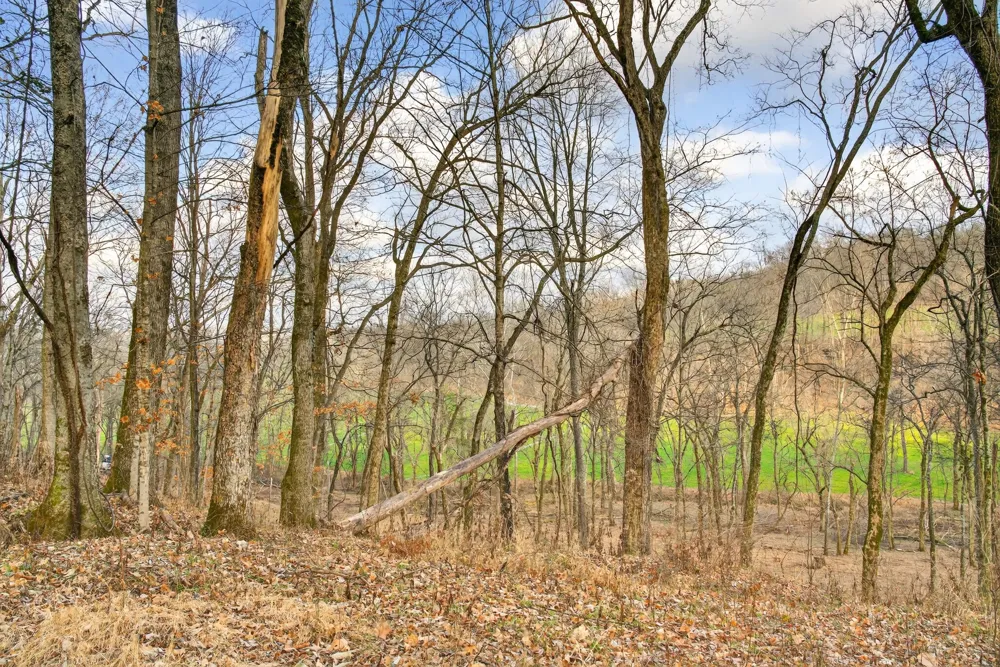 2955 Bostic Rd Nolensville, TN 37135