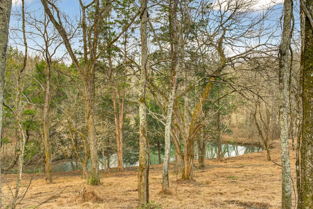 2955 Bostic Rd Nolensville, TN 37135