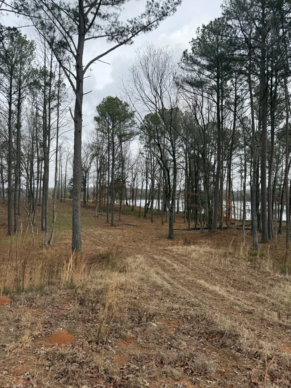 0 Stately Oak Dr Huntingdon, TN 38344