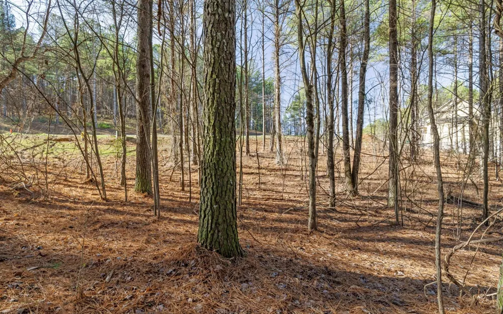 1125 Split Rail Way Guild, TN 37340