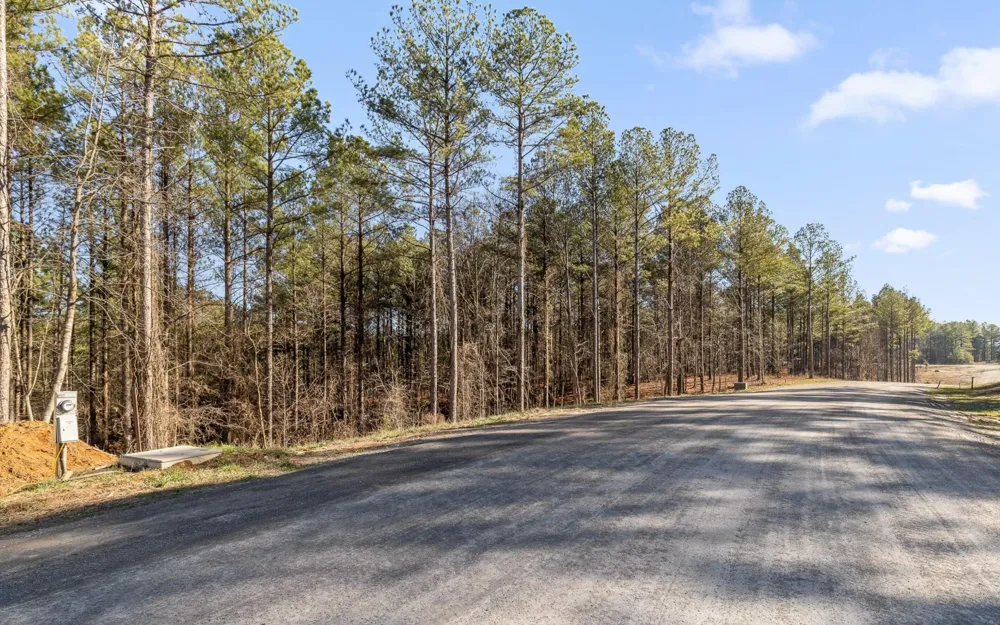 1125 Split Rail Way Guild, TN 37340