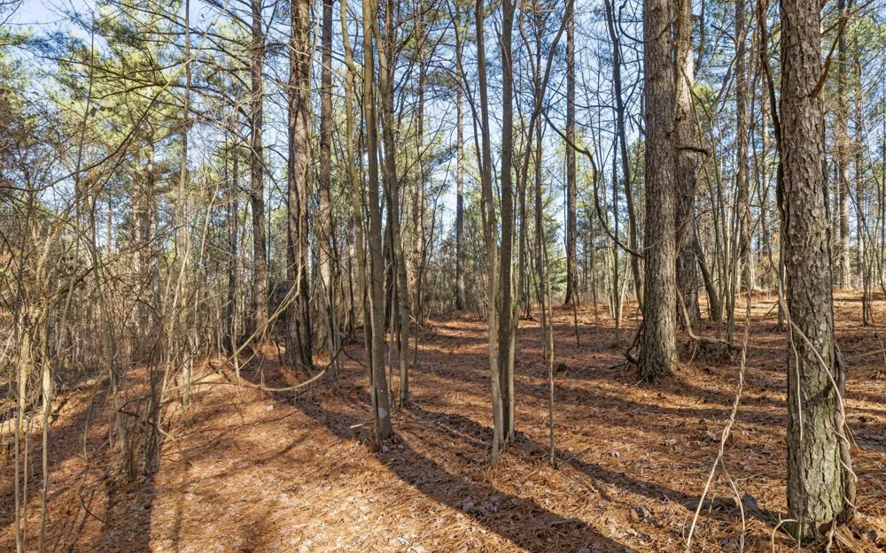 1125 Split Rail Way Guild, TN 37340