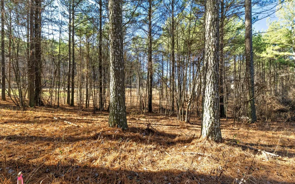 1125 Split Rail Way Guild, TN 37340