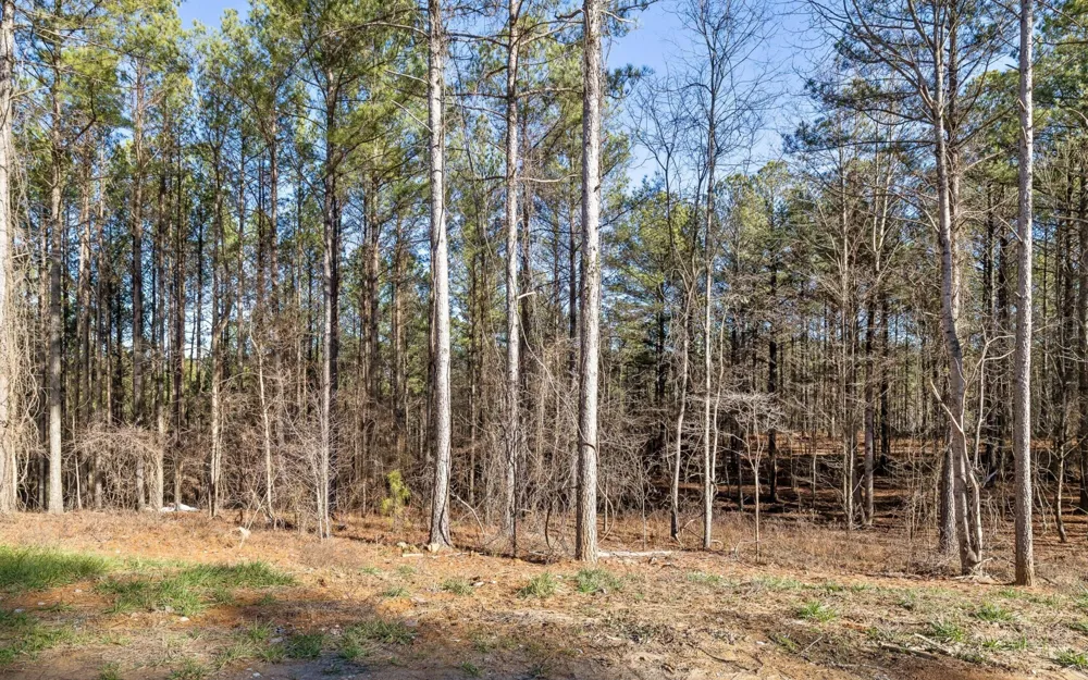1125 Split Rail Way Guild, TN 37340