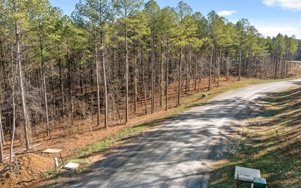 1125 Split Rail Way Guild, TN 37340